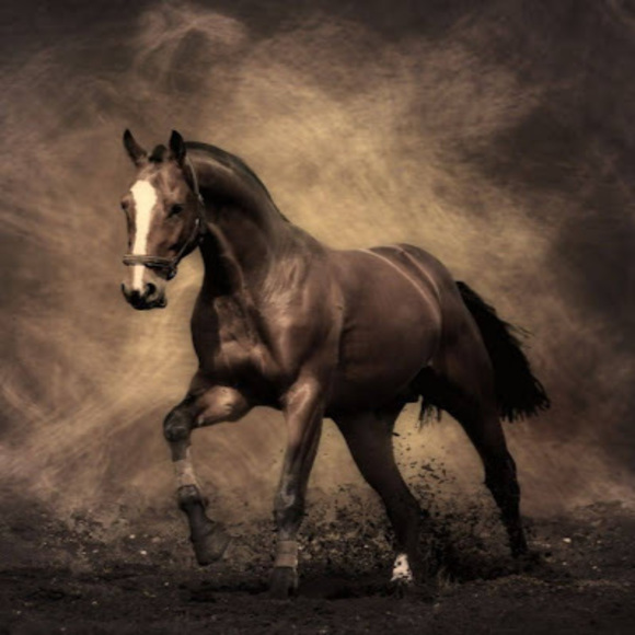 Meet your Posher, Ravneet - Picture 1 of 1